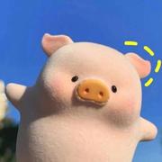 FLYINGPIG的个人资料头像