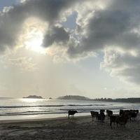 视野卡尔7wpG头像