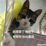 风姿卓越星空I2L头像