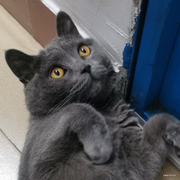 Beginner_learn的个人资料头像