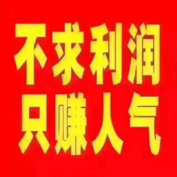 知情达理卫毛头像