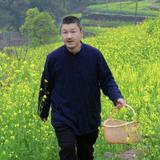 茂哥开讲头像