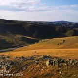 一颗微小的火苗头像