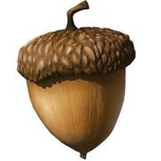 xiaozhi1的个人资料头像