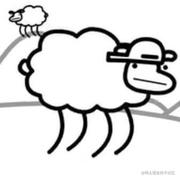 bbimasheep的个人资料头像