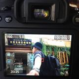 孟棘头像