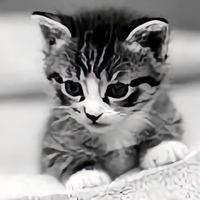 宝宝爱你呦i头像