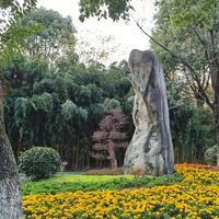 用户5419962018440头像