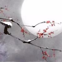 一缕阳光274969844头像