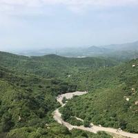 我做核酸我骄傲头像