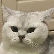 AIS_HUH的个人资料头像