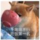 用户1319400 · 领克07 EM-P车主·车龄半年头像