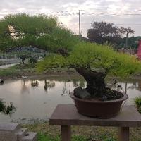 蓝海180868466头像