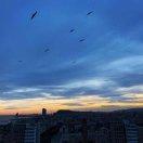 Flower_June的个人资料头像