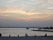 _绿鲤鱼的个人资料头像