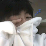 熊猫臻品头像