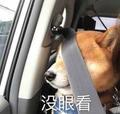 似此星辰i头像