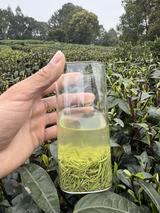 春秋茶叶店头像