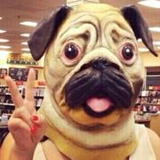 打脸少年王二小的个人资料头像