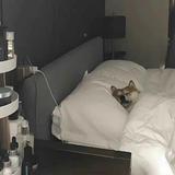 风紧扯呼273头像