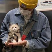 南风知我yi的个人资料头像