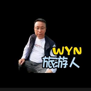 旅游人WYN头像