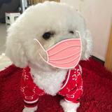 快乐的金宝贝头像