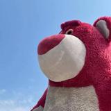 寒彻815头像