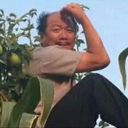 给个timing的个人资料头像