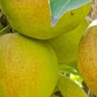 用户2927300505856头像