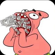 tt687的个人资料头像