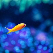 Execmin365的个人资料头像