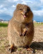 TIMELROD的个人资料头像