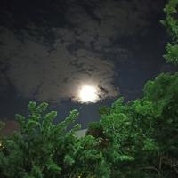 BZ天高地厚头像