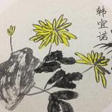 韩献华495头像