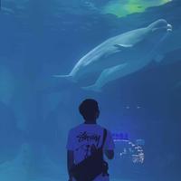 敏宝专属司机头像