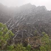 艾叶橙的个人资料头像