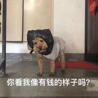 我像有钱的样子吗头像