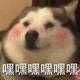好汤圆头像