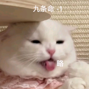 竑珑头像