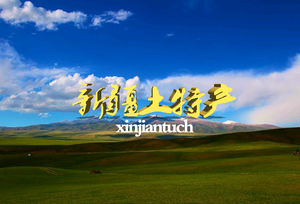 xinjiangtuch头像