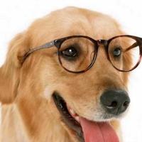 企债帮宋宏头像