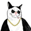 RichardV的个人资料头像