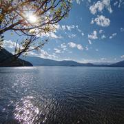 盈风520的个人资料头像