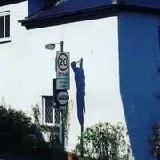 Mortimer371的个人资料头像