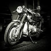 军博的个人资料头像