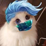 wmcat的个人资料头像
