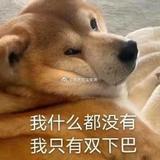 等到车了头像