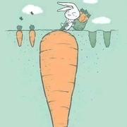 dong_junshuai的个人资料头像