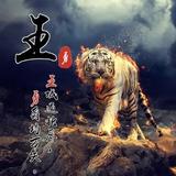 Mr大良头像